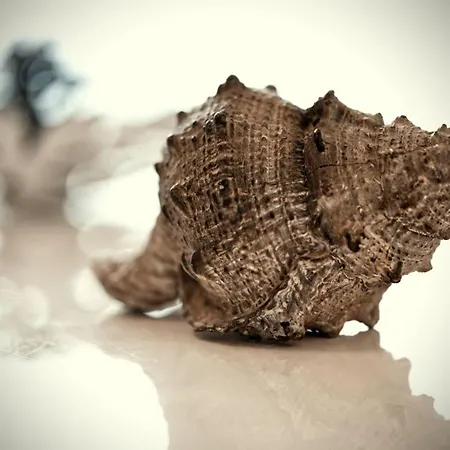 Residenz Am Bodensee Apartmán Friedrichshafen