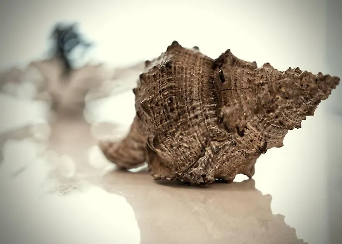 Residenz Am Bodensee Lägenhet Friedrichshafen